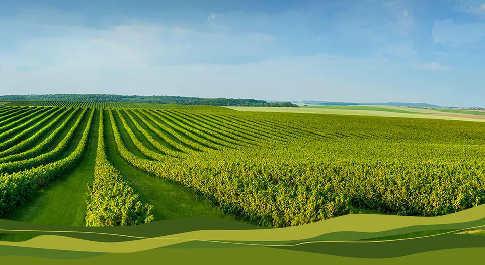 Szánts okosan! – avagy a kontúrszántás rejtélyei