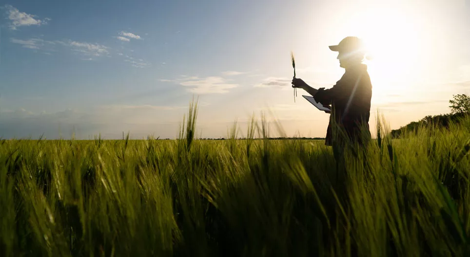A növényvédő szerek és a műtrágyák környezeti kockázatai