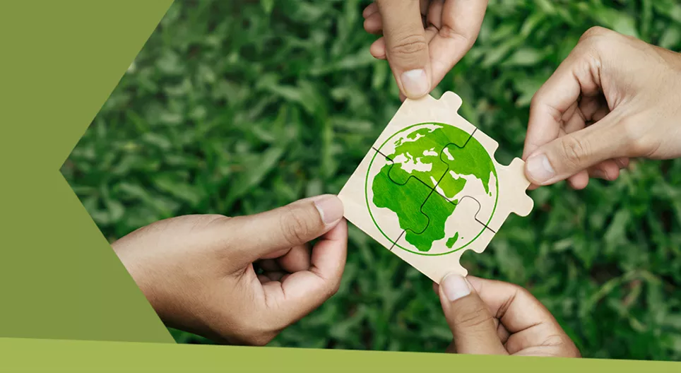 Mit jelent fenntarthatóan élni?