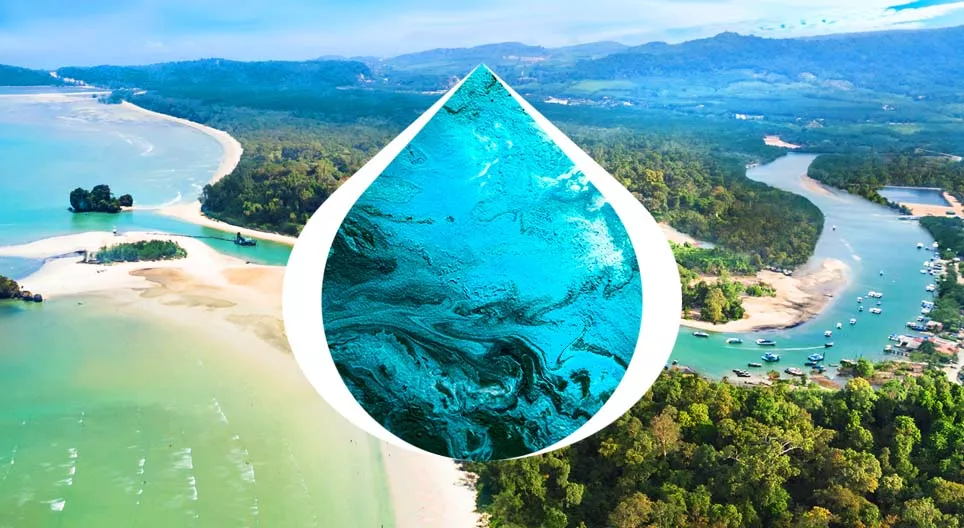 A forrástól a torkolatig