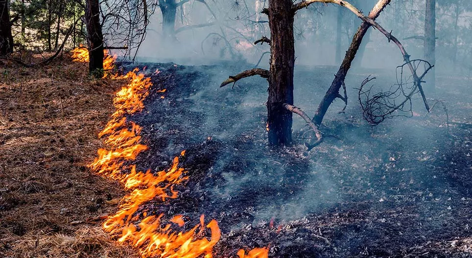 Mióta használjuk a tüzet?
