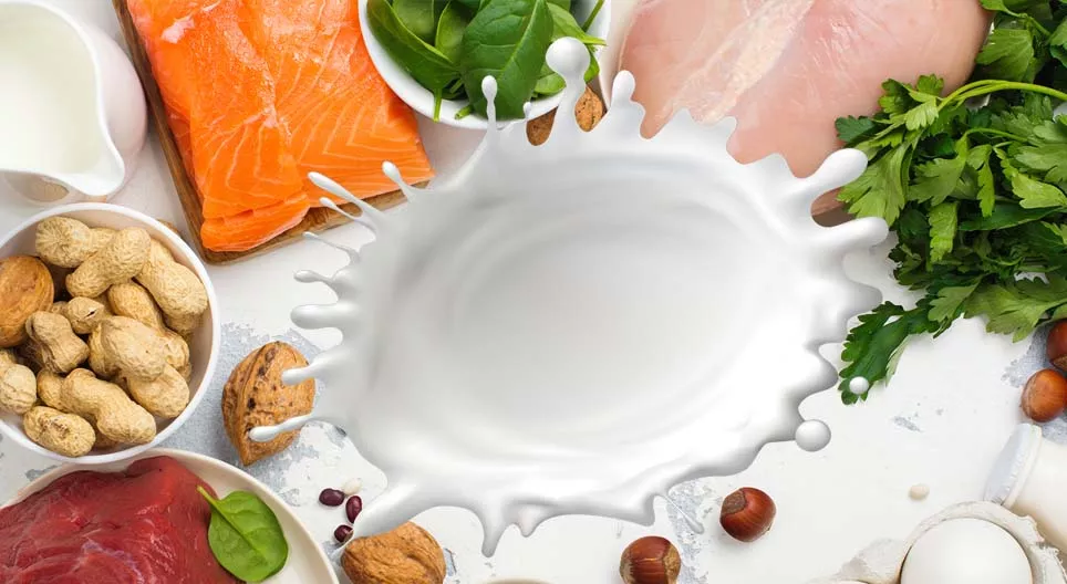 Testünk „építőkövei”, a fehérjék