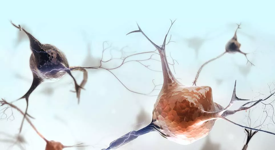 Mi jellemző az idegszövetre?