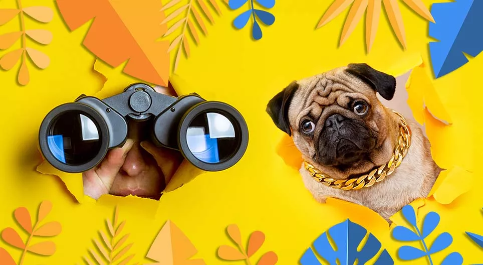 Te is azt látod, amit én?