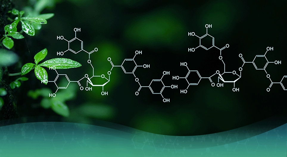 Hogyan alakult ki a szerves kémia?