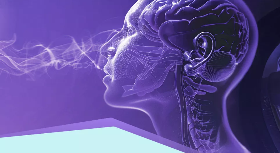 Szenzorok és receptorok