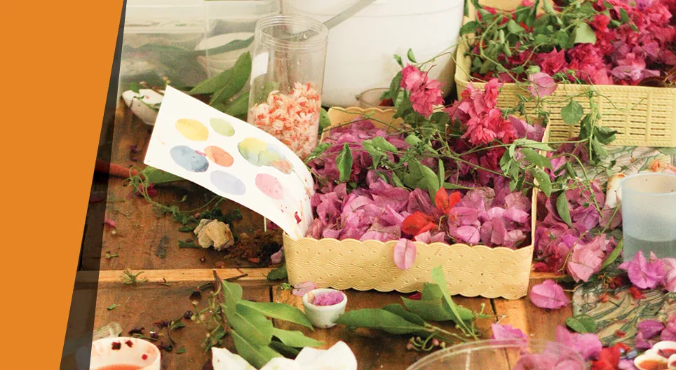 Festés növényekkel