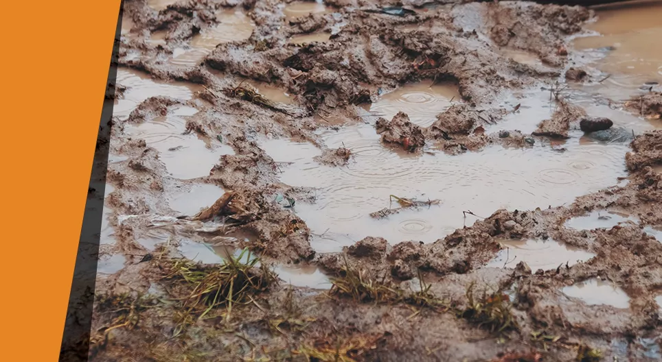 Házi víztisztító