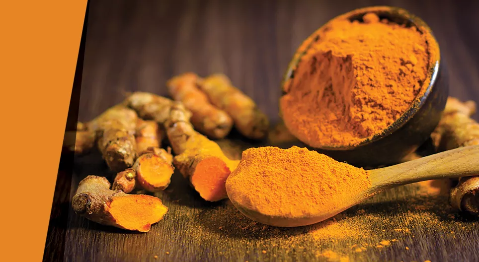 Szégyenlős festék