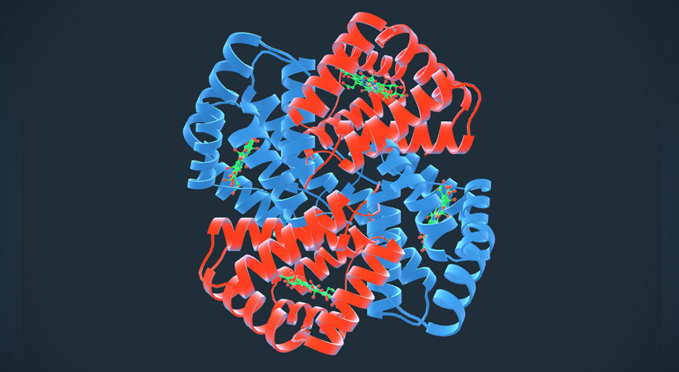 Hemoglobin