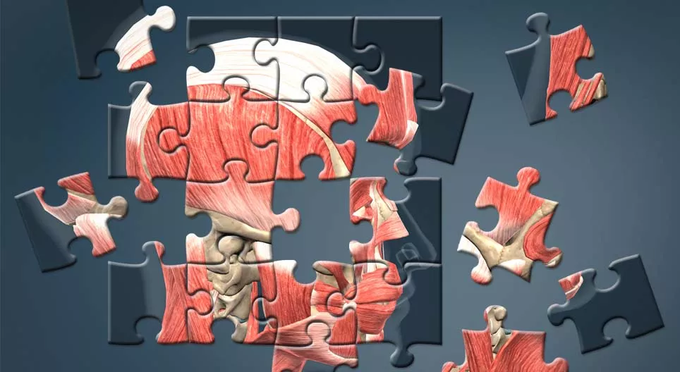 人間を作るにはどうしたらいいのか