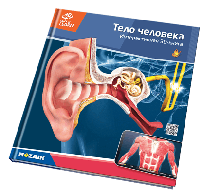 20 кітаптан тұратын серияда 800 3D көрініс бар.