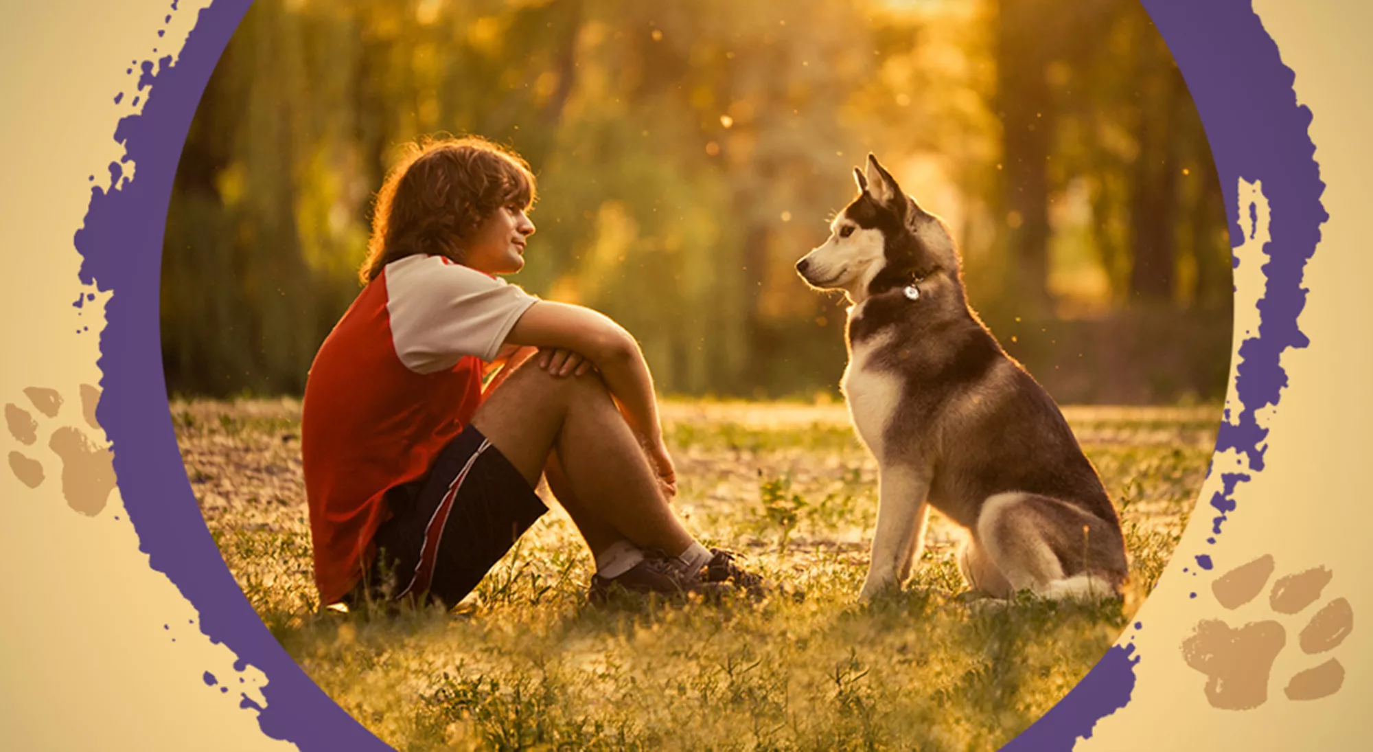 동물들의 언어를 이해할 수 있나요?