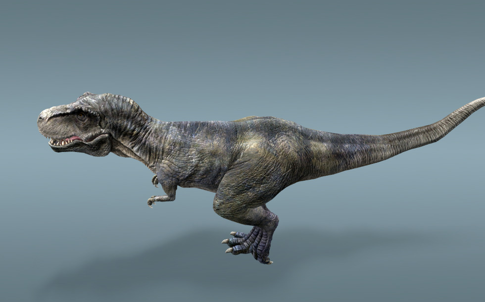 Reconstruction