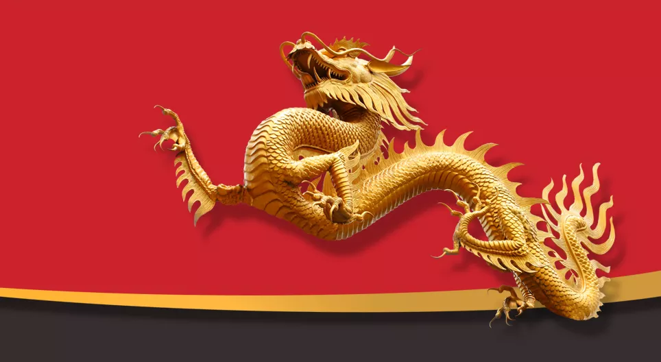 China: the emerging dragon