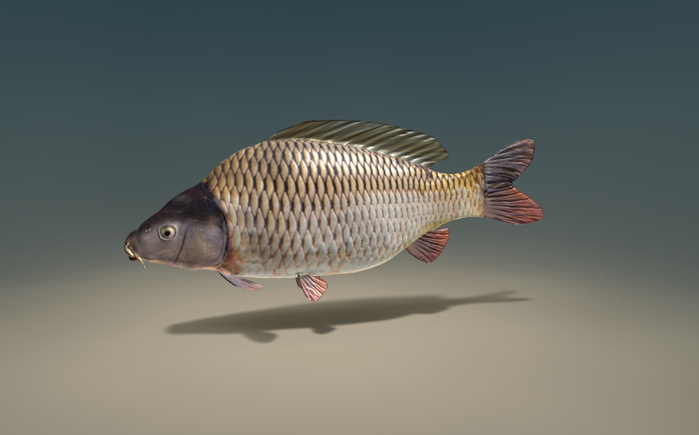 Телефоннан жеке секс видеосы Автобустағы секс видеосы