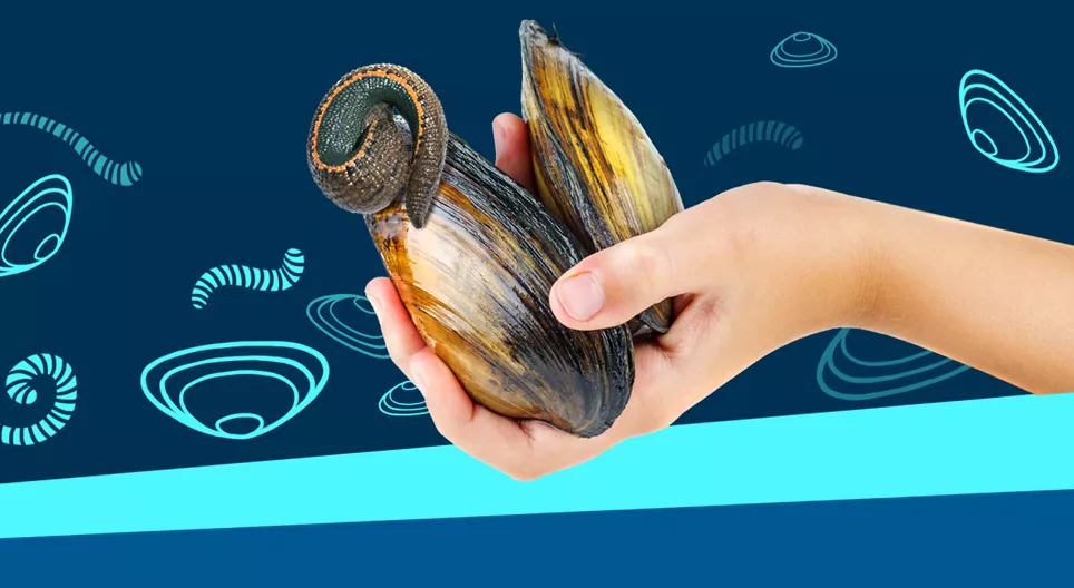 Нуурын ёроолд