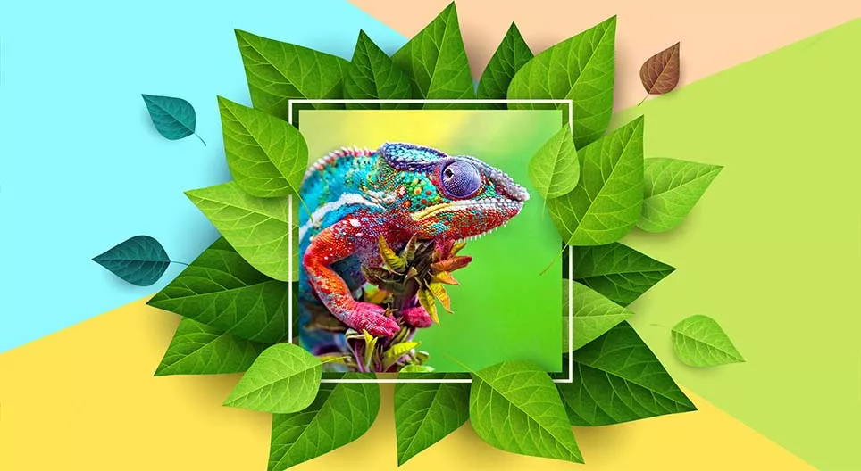 Өнгөө өөрчлөх чадвартай амьтад болон ургамлын жишээ