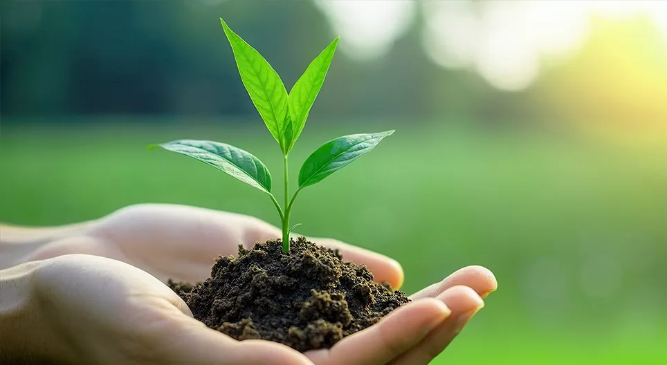 Амьдрал хаанаас эхэлдэг?