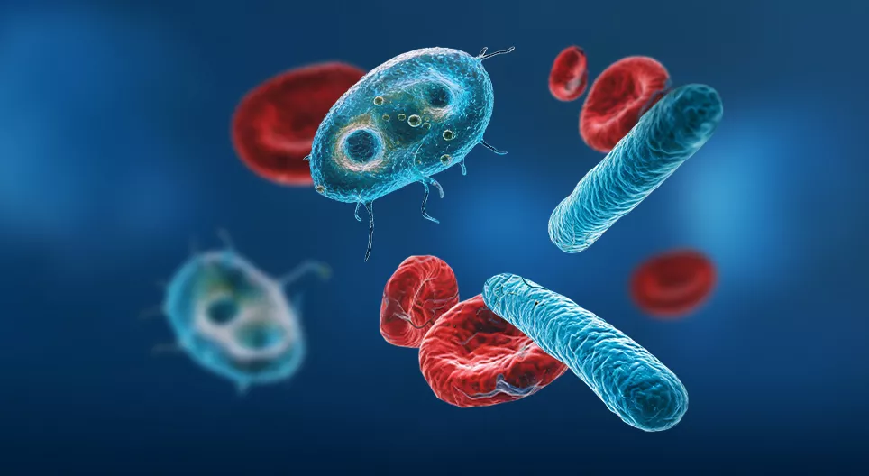 Халдварт өвчин ба дархлаа