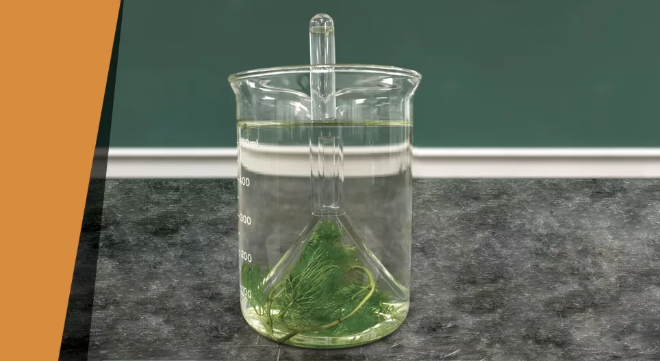 Өөрөө үйлдвэрлэсэн хүчилтөрөгч