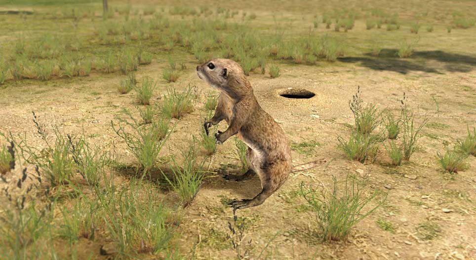 Европ зурам