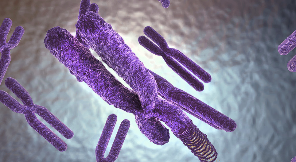 Геномын бүтэц