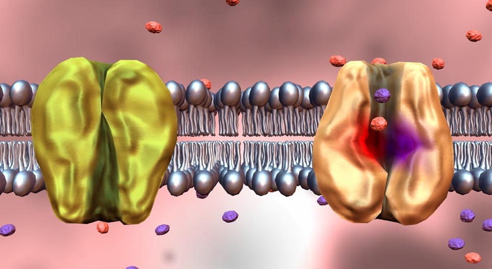 Зөөвөрлөлтийн процесс