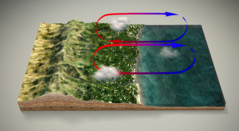 Муссон салхины тогтолцоо