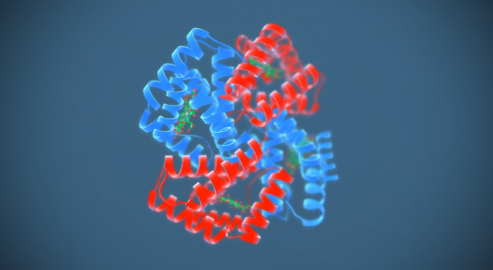 Гемоглобин