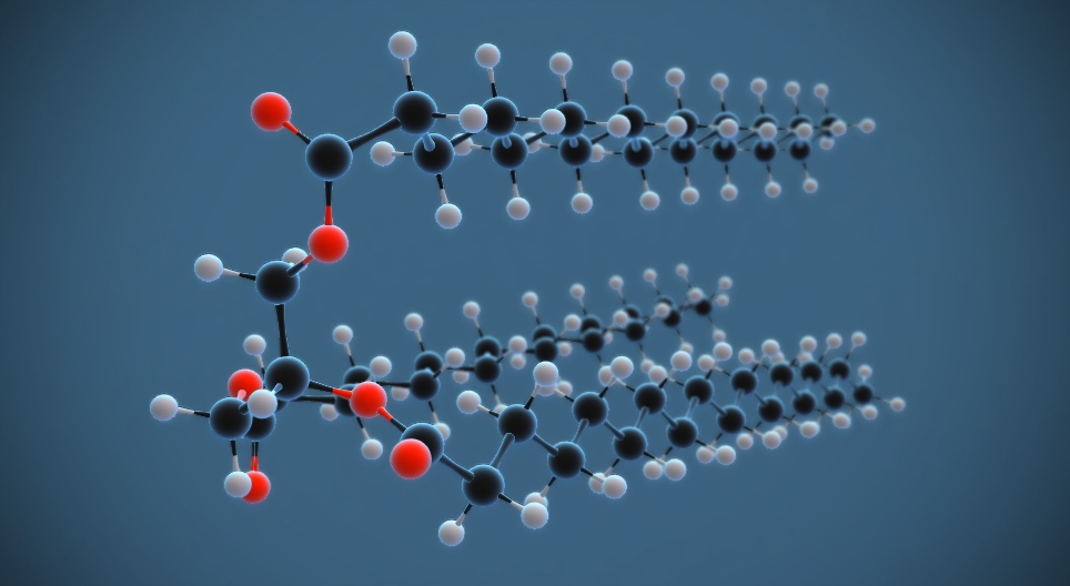 Өөхний молекул