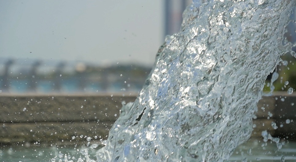 Сургалтын видео