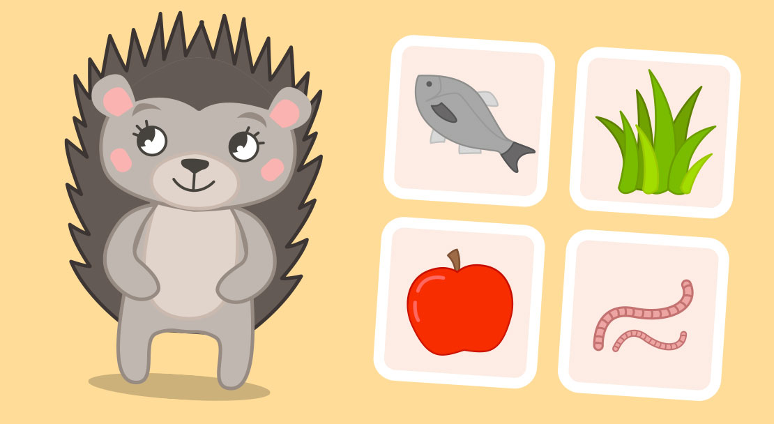 Animal quiz