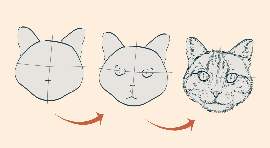 Drawing phases