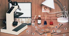 Mikroszkopizálás és eszközei