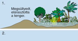 A szén keletkezése