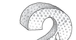 Bari szerint ez egy nehéz kérdés