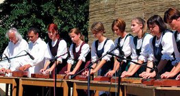 A szabadegyházi Petrence Citerazenekar (Országos Citerazenekari Fesztivál, Eger)