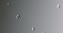 Candida gomba (leggyakrabban hüvelyfertőzést okoz)