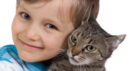 Dječak grli mačku