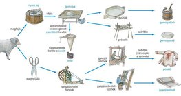 Juh bundájának és tejének felhasználása