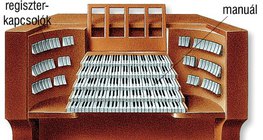 Orgona felépítése