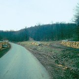 Timber stored at the roadside