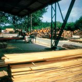 Timber yard