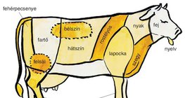 A szarvasmarha bontási részei