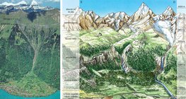 A természetes növénytakaró változása