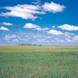 Great Hungarian Plain