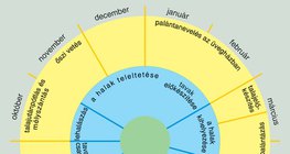 A mezőgazdasági tevékenységek is az évszakok változásához igazodnak