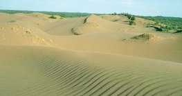 Pješčano brdo s nanosima vjetra