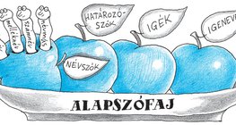 Csendélet alapszófajokkal